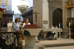 P1040294-50-
