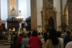 P1040296-50-