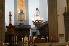 P1040297-50-