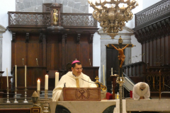 P1040300-50-
