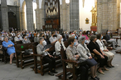 P1040320-50-