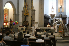 P1040325-50-