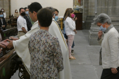 P1040333-50-