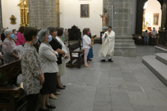 P1040335-50-
