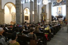P1040337-50-