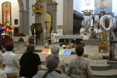 P1040351-50-