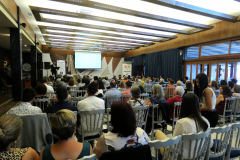 P1050589-50-