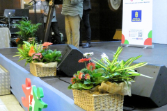 P1050681-50-