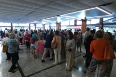 P1050773-50-