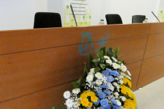 P1040648-50-