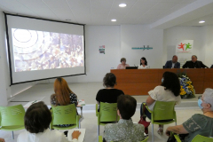 P1040682-50-
