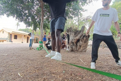 Imagen-de-WhatsApp-2024-05-14-a-las-13.03.25_c87be2a1