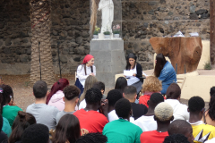 P1120695-50-