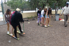P1130013-50-