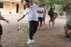 P1130111-50-