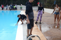P1130186-50-