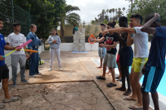 P1130217-50-