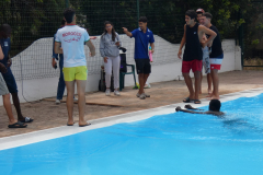 P1130225-50-