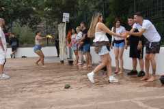 P1130270-50-