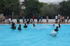 P1130575-50-