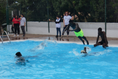 P1130591-50-