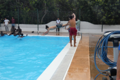 P1130606-50-