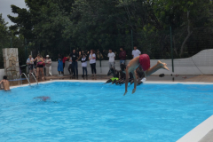 P1130621-50-