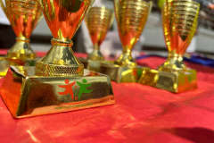 Imagen-de-WhatsApp-2025-05-13-a-las-14.15.14_939abb0c