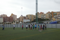 P1040055-50-