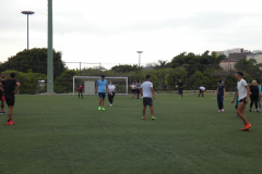 P1040060-50-