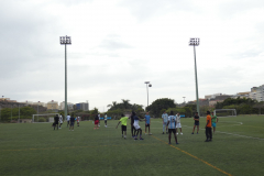 P1040069-50-