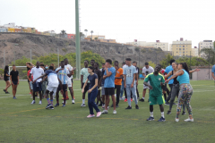 P1040084-50-