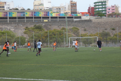 P1040164-50-