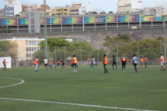 P1040165-50-