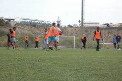 P1040167-50-