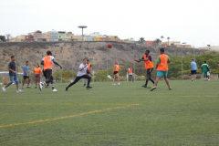 P1040168-50-