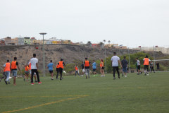 P1040169-50-