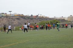 P1040174-50-
