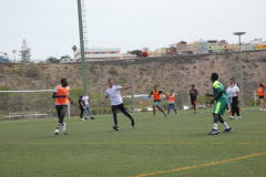 P1040175-50-