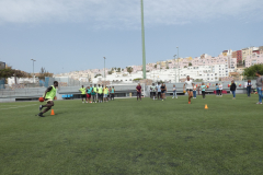 P1040178-50-