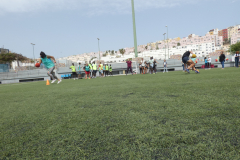 P1040179-50-