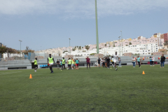 P1040184-50-