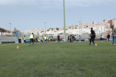 P1040186-50-