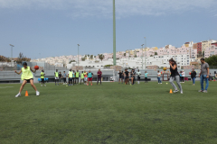 P1040190-50-