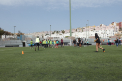 P1040192-50-