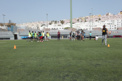 P1040196-50-