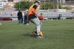 P1040208-50-
