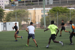 P1040220-50-
