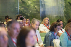 MAINNOVA II EDICIÓN