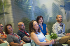 MAINNOVA II EDICIÓN